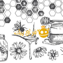 طراحی وکتور قدیمی با موضوع زنبورداری