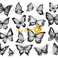 مجموعه تصویر ایزوله پروانه شابلون، بال پروانه و حشرات در حال پرواز