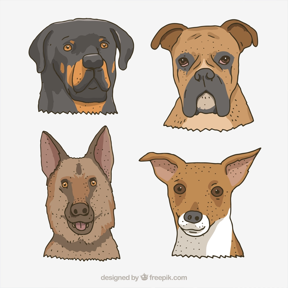 نقاشی نژادهای مختلف سگ