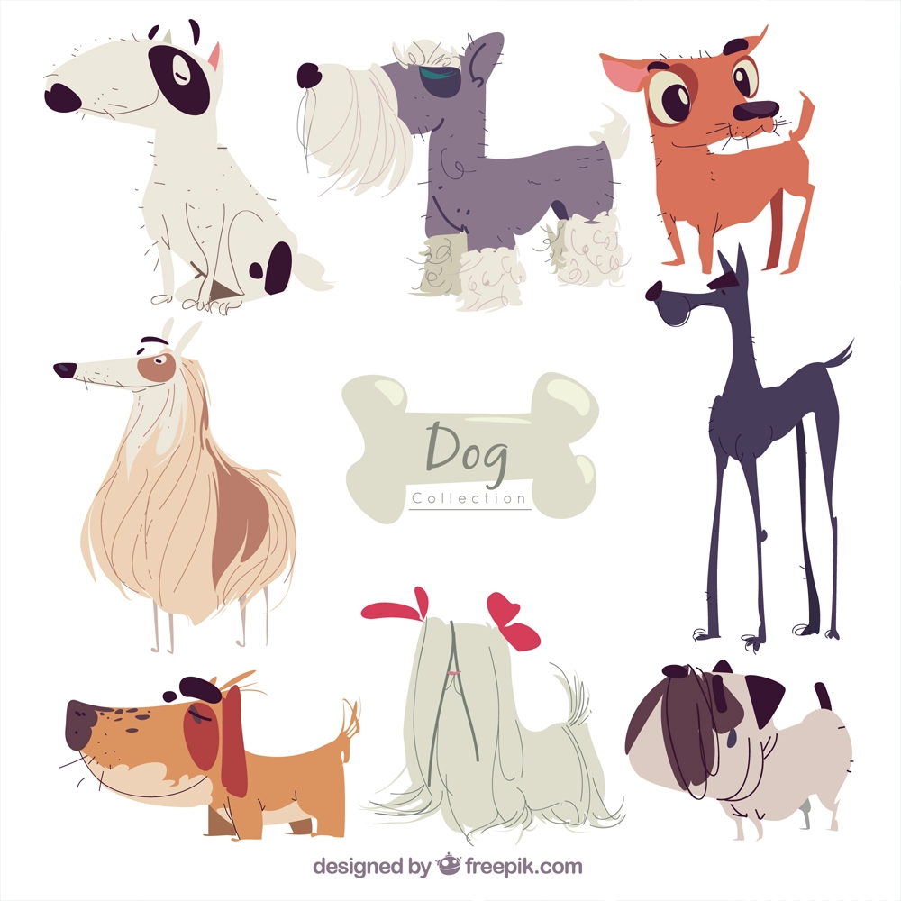 مجموعه ای از سگ ها با نژادهای مختلف