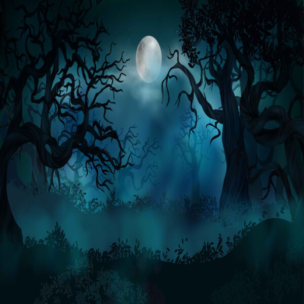 پس زمینه جنگل هالووین(halloween forest background)