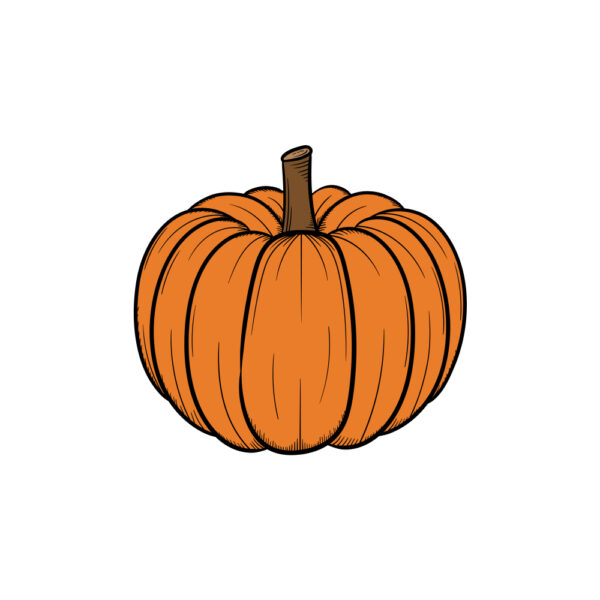 الگوی کدوتنبل کشیده شده با دست(pumpkin hand drawn illustration design template isolated)