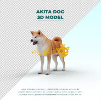 مدل سه بعدی سگ آکیتا