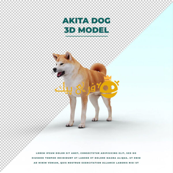 مدل سه بعدی سگ آکیتا
