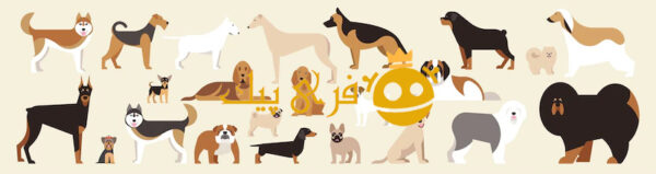 ست سگ نژادهای مختلف