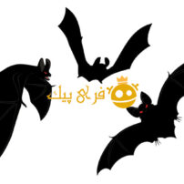 نقاشی خفاش هالووین