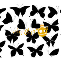 نمادهای پروانه ها، حشرات در حال پرواز
