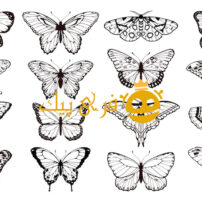 مجموعه وکتور گرافیکی خالکوبی پروانه