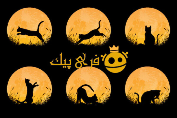 مجموعه ای از سیلوئت گربه در حالت های مختلف در زمین چمن با پس زمینه ماه کامل