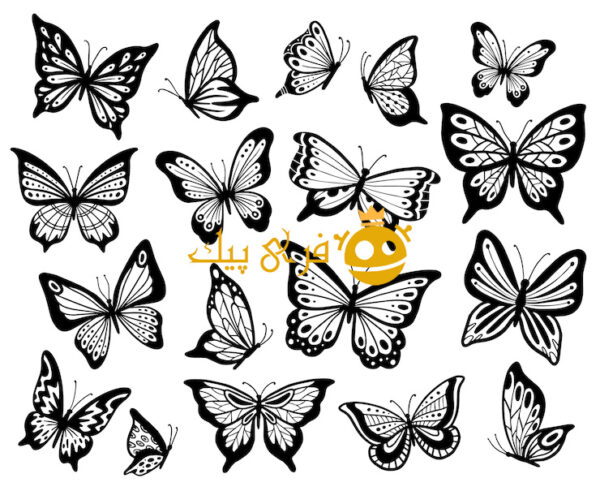 مجموعه تصویر ایزوله پروانه شابلون، بال پروانه و حشرات در حال پرواز