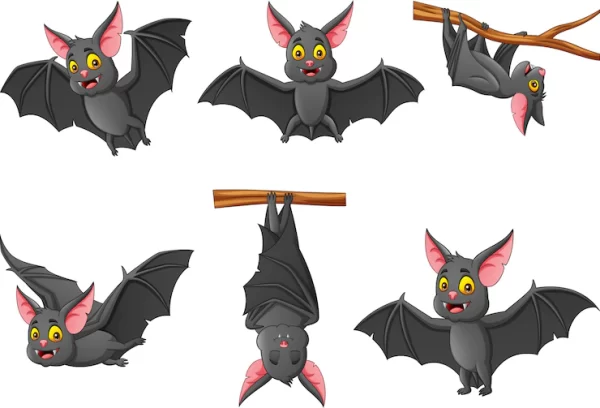 ست خفاش کارتونی با حالت های مختلف