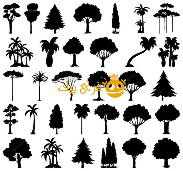 مجموعه ای از سیلوئت گیاه و درخت