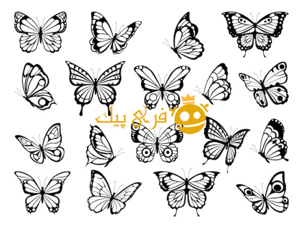 سیلوئت های پروانه ها. عکس سیاه از پروانه های خنده دار
