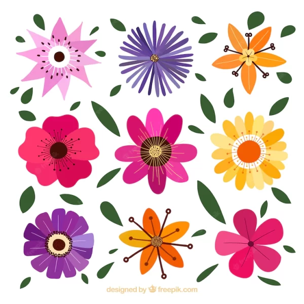 گل های تزئینی با طرح های مختلف