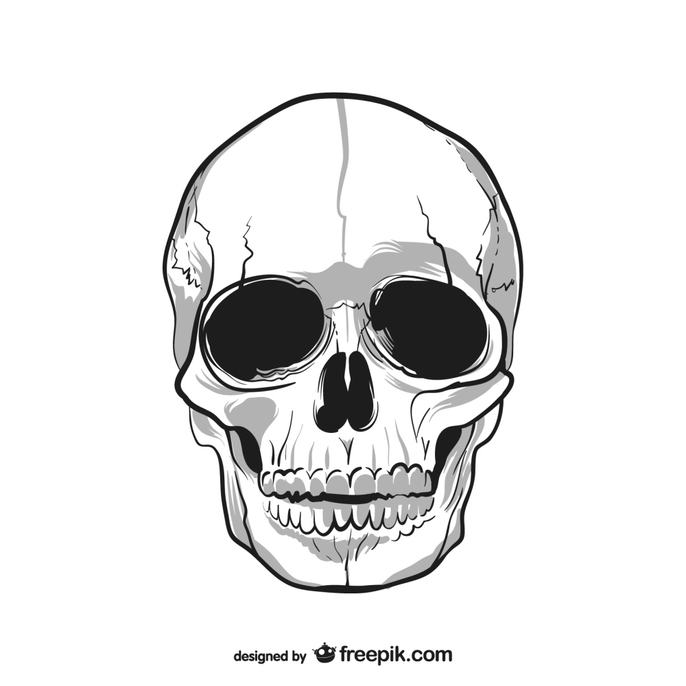 نقاشی جمجمه انسان(Human skull drawing)
