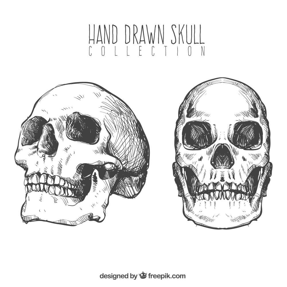 بسته نقاشی جمجمه ها(Pack of hand drawn skulls)