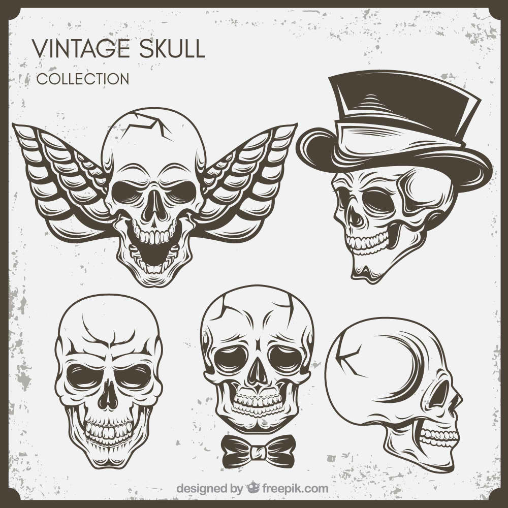 مجموعه ای از جمجمه های قدیمی(Set of vintage skulls)